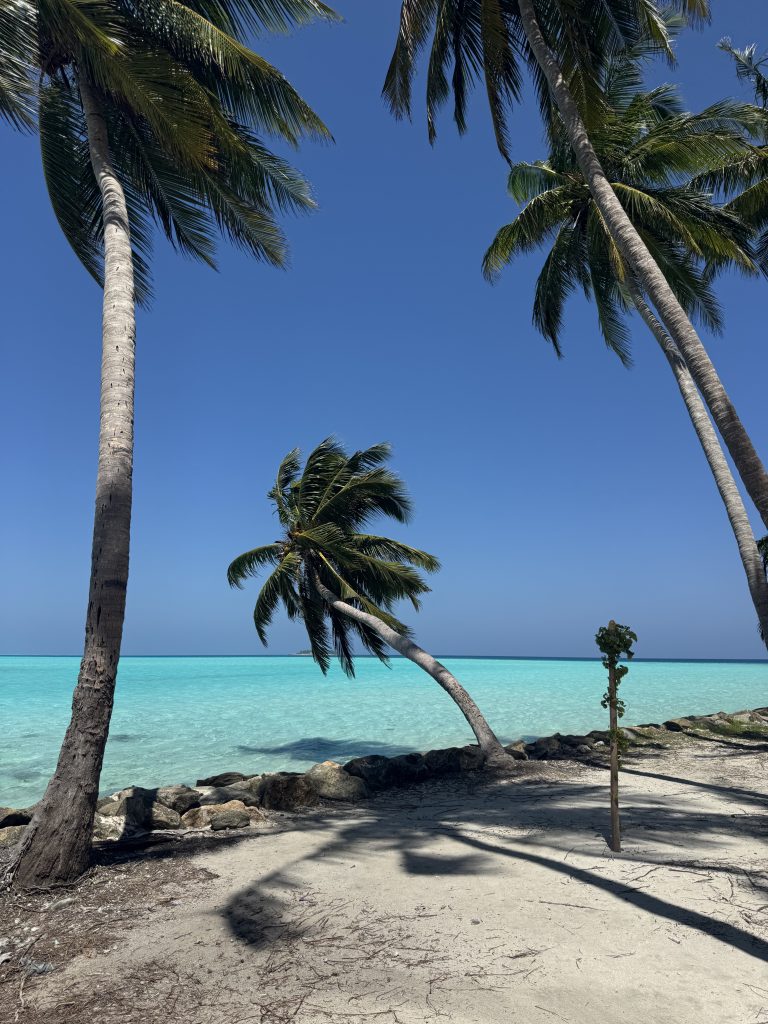 Dormire in una guesthouse alle Maldive: scopri la mia settimana a Thoddoo