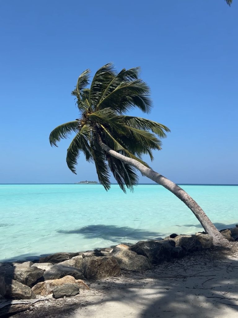 Thoddoo, Maldive: guida all'isola locale tra costi, spiagge e cosa fare